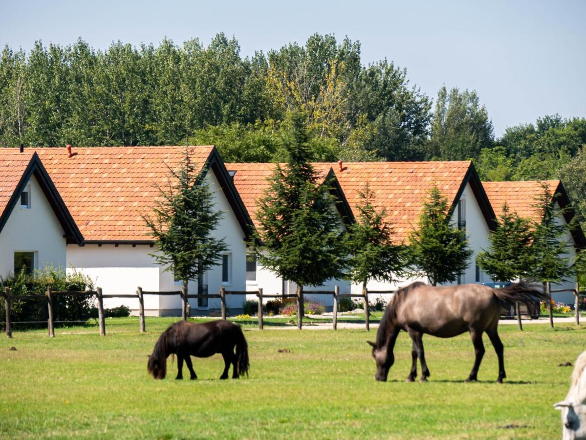 Ugo Apartman Halászi Esterno foto